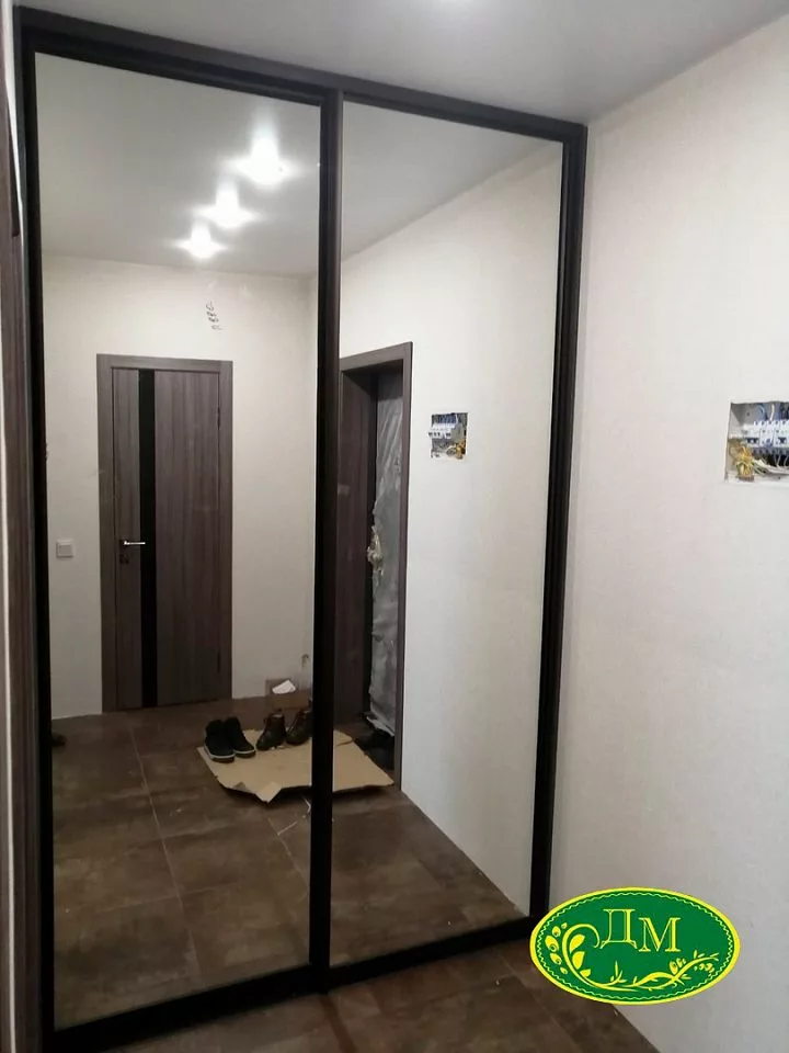 Двери купе 18 с зеркалом